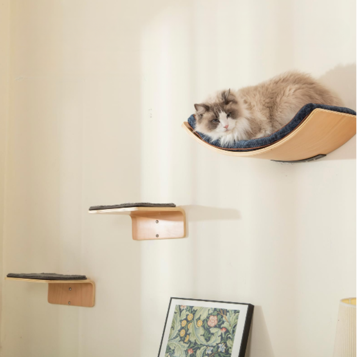 Ensemble mural Felina Curve Set