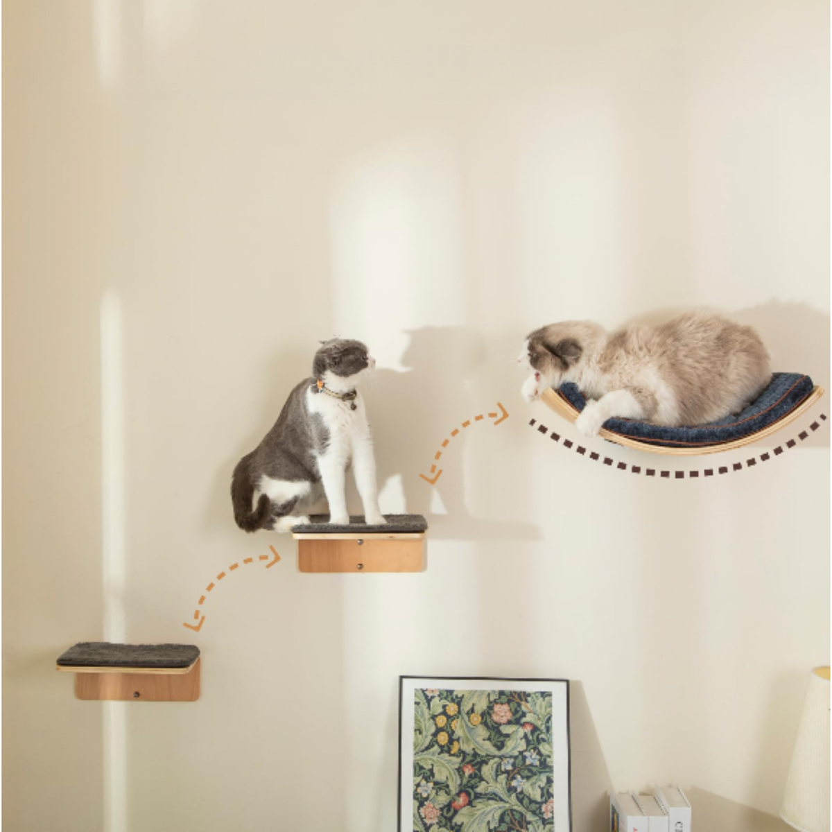 Ensemble mural Felina Curve Set