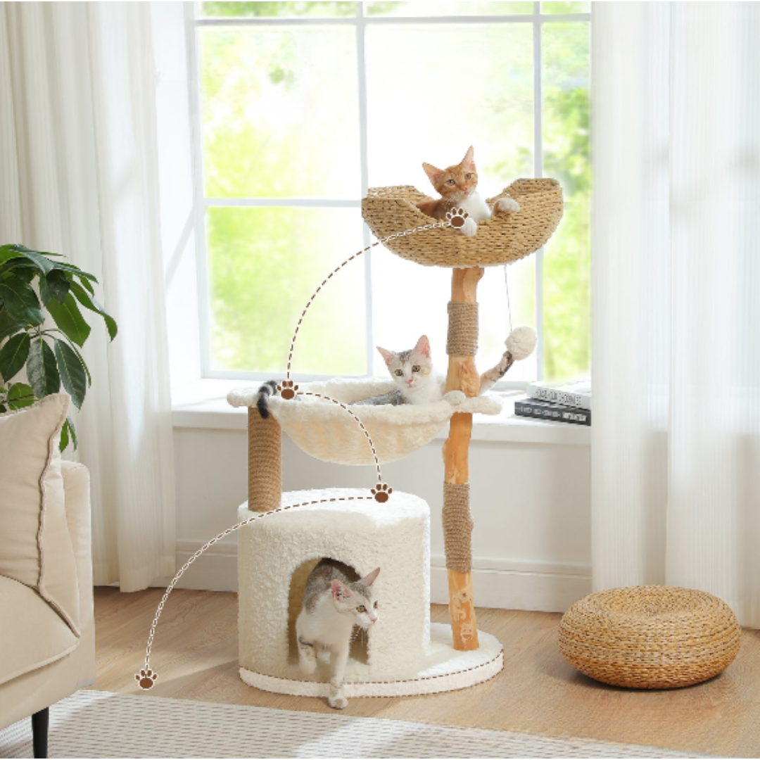 Arbre à chat en bois Felina Safari