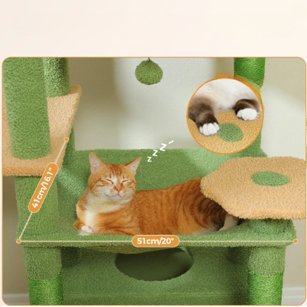 Arbre à chat multi-étages Felina Active