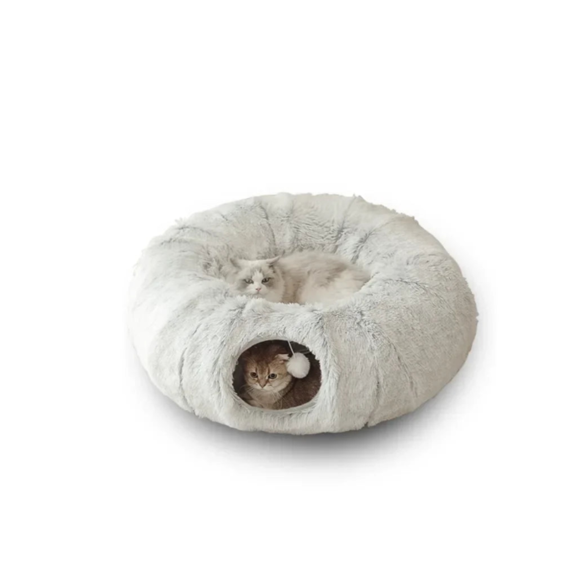 Lit refuge Felina Haven