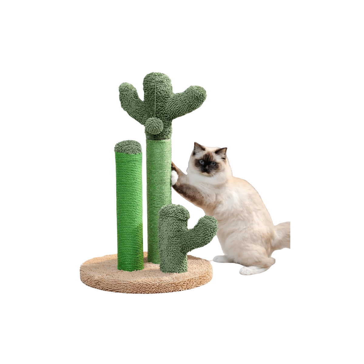 Griffoir design Felina Verde