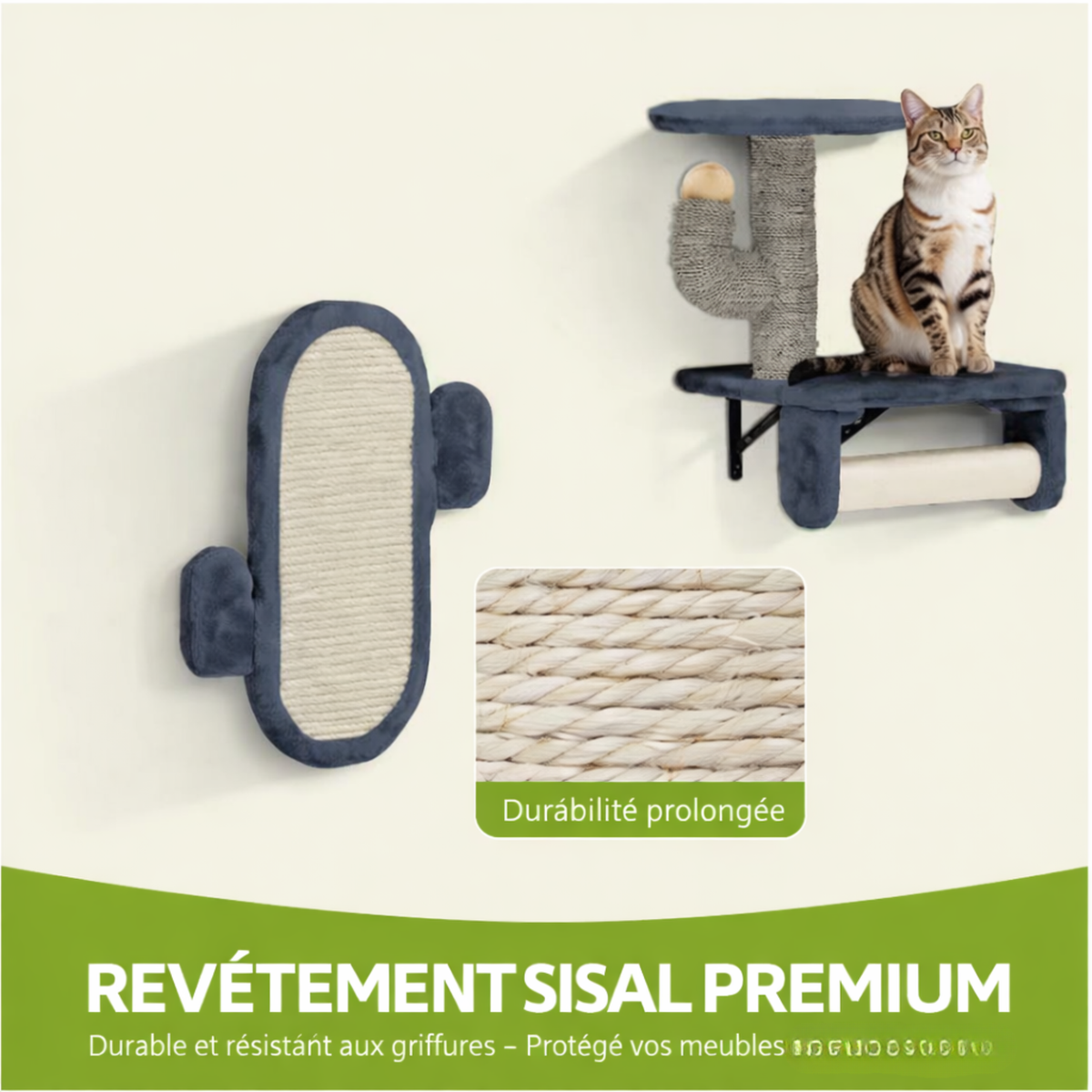 Parcours mural Felina Ascend – 7 modules