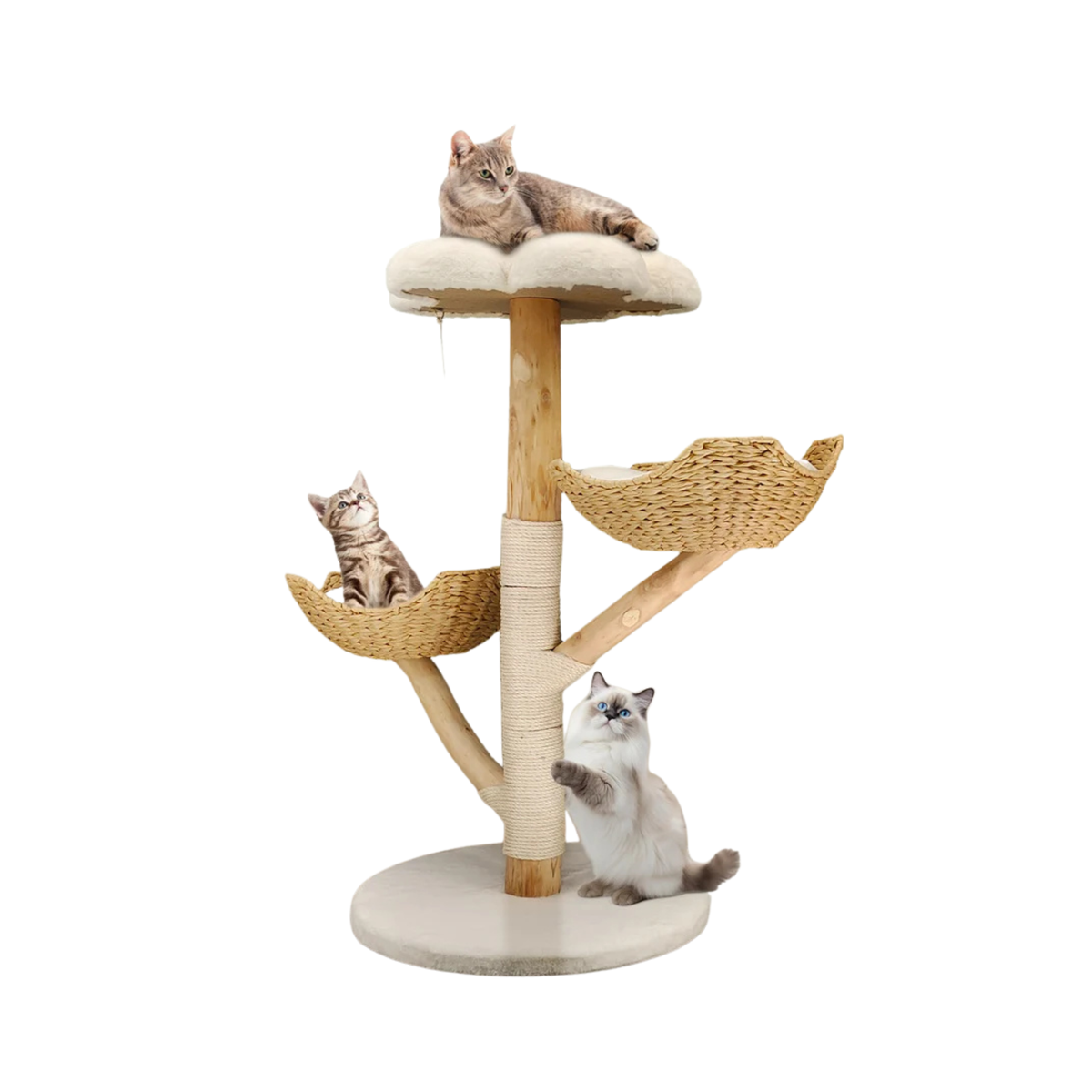 Arbre à chat design en bois Felina Pure
