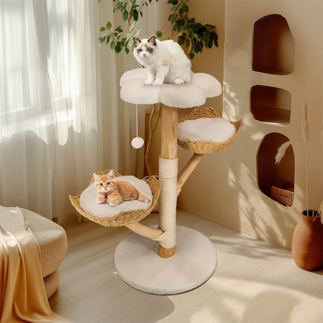 Arbre à chat design en bois Felina Pure