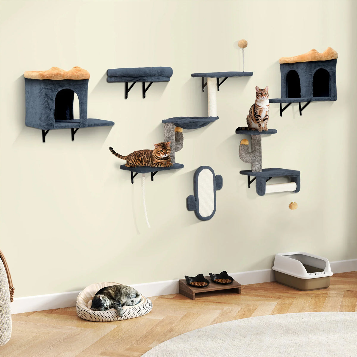 Parcours mural Felina Ascend – 7 modules