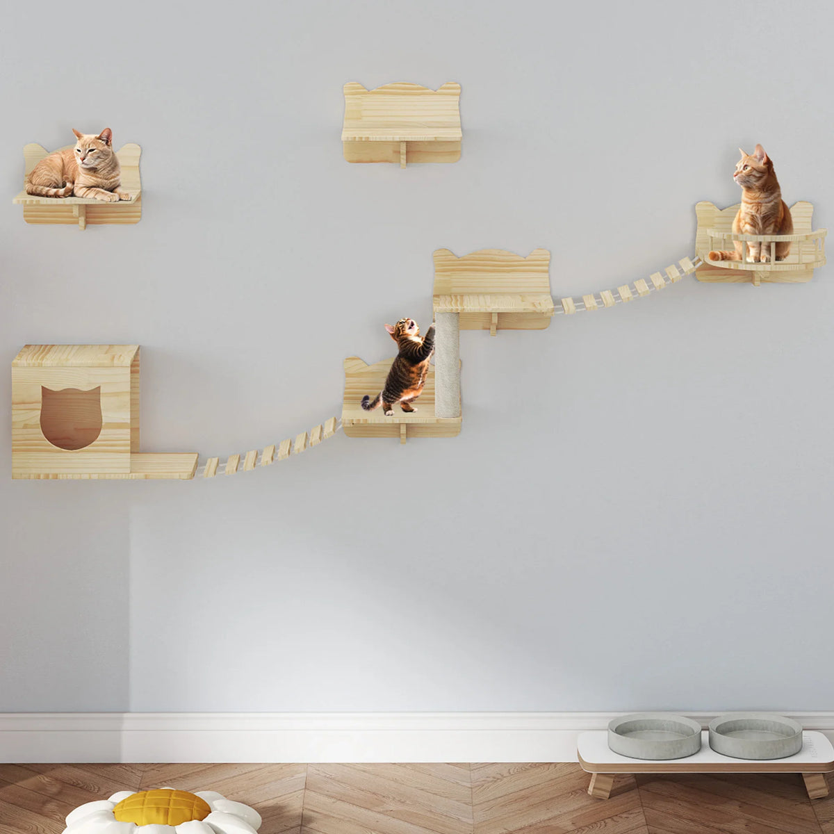 Parcours mural Felina Ascend Mini – 5 modules