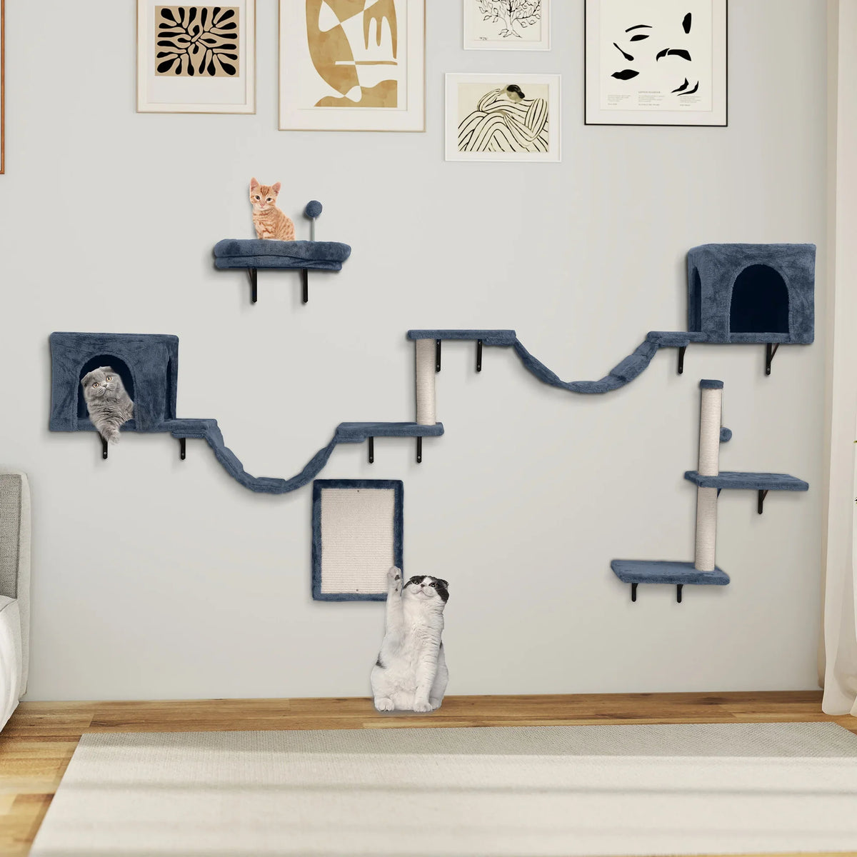 Parcours mural Felina Ascend Plus – 8 modules