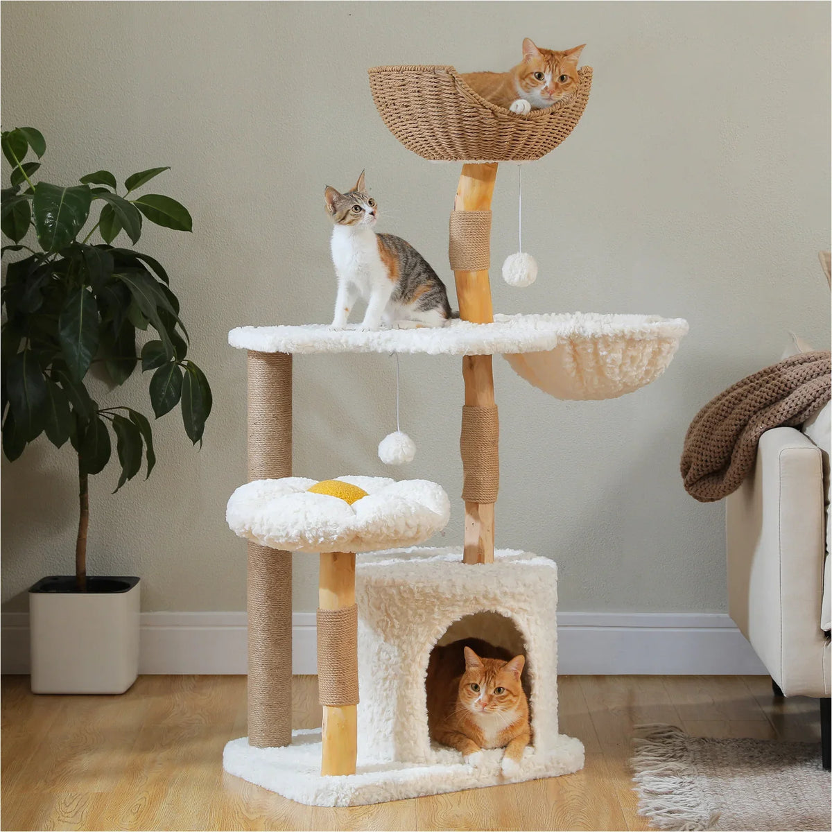 Arbre à chat design en bois Felina Natura